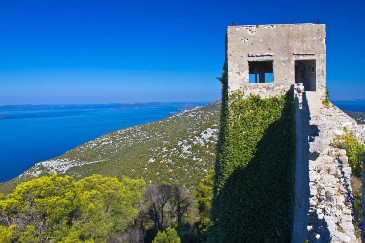Studio Apartment In Preko With Sea View, Terrace, Air Conditioning, Wi-Fi Kültér fotó